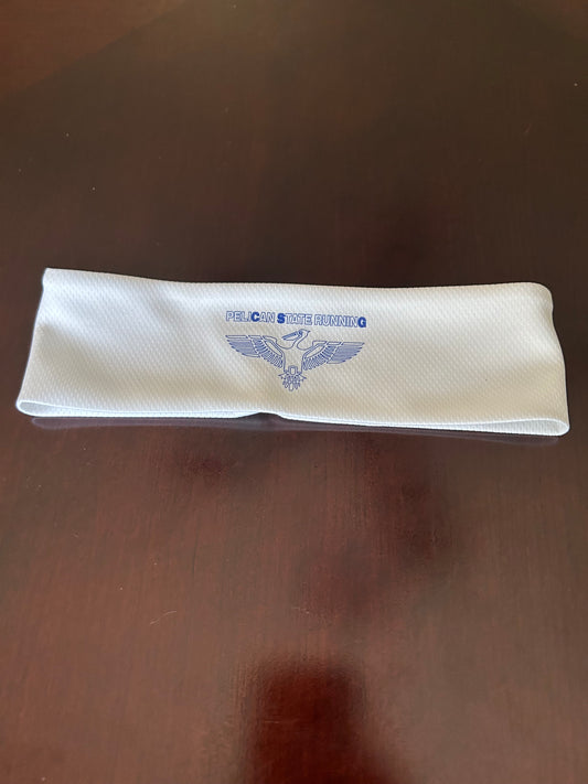 2 for $10 Headband Bundle